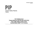 PIP PN06CB1S01